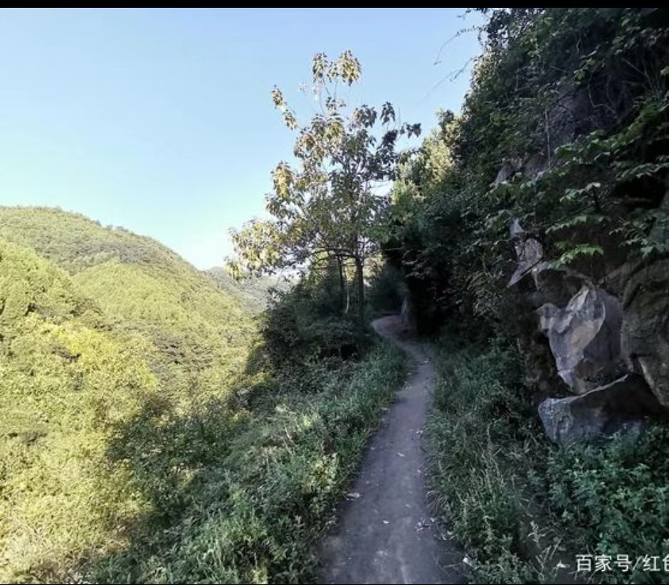   狼   沟（连载）