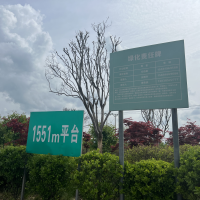  一枚绿叶粘钩在大秦岭攀登出春的诗意