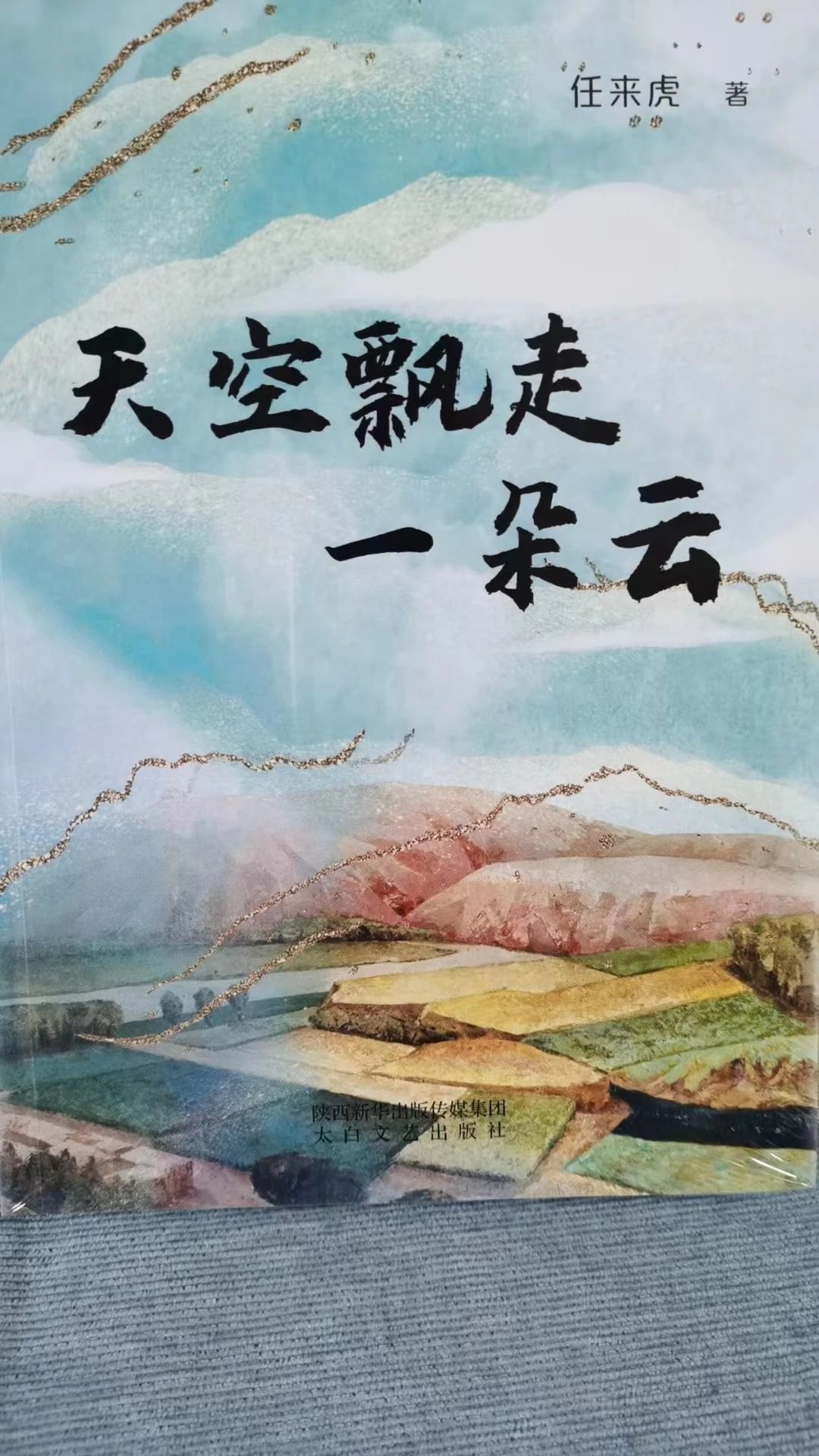 《天空飘走一朵云》长篇小说连载第5期