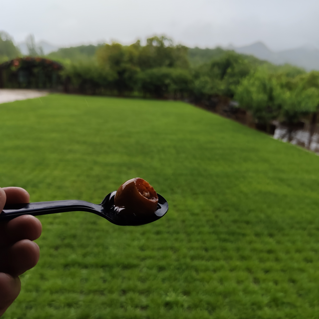  待我离职闲暇