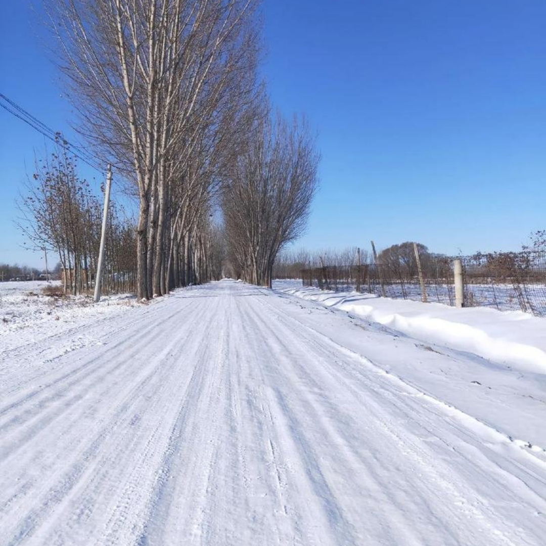  雪中际遇
