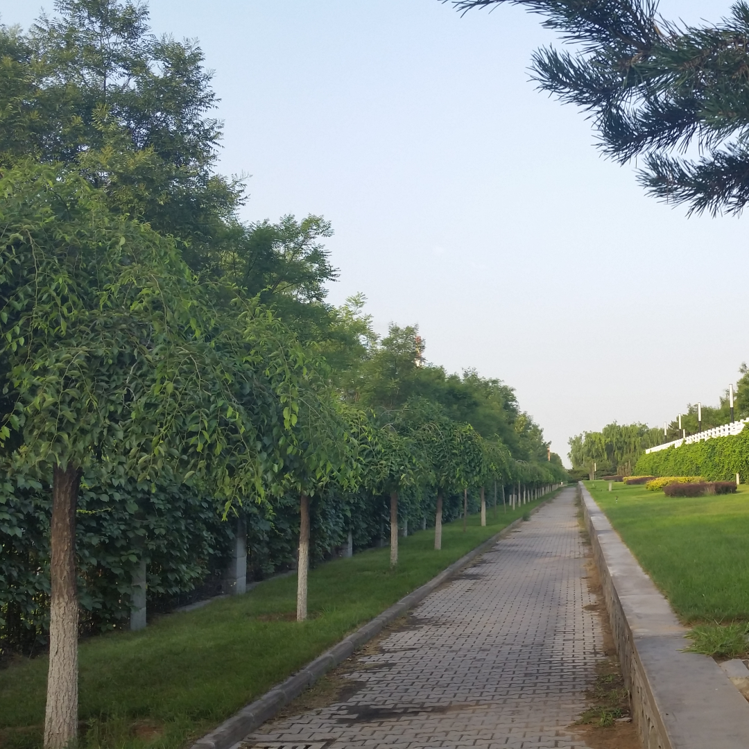  用文学撞开大地之门