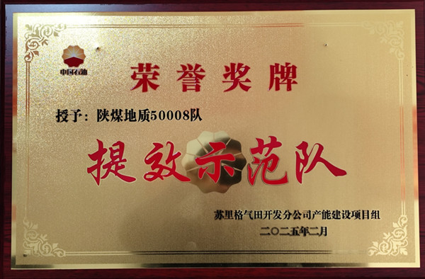  油气公司50008队荣获苏里格气田开发分公司产能建设项目组“提效示范队”称号