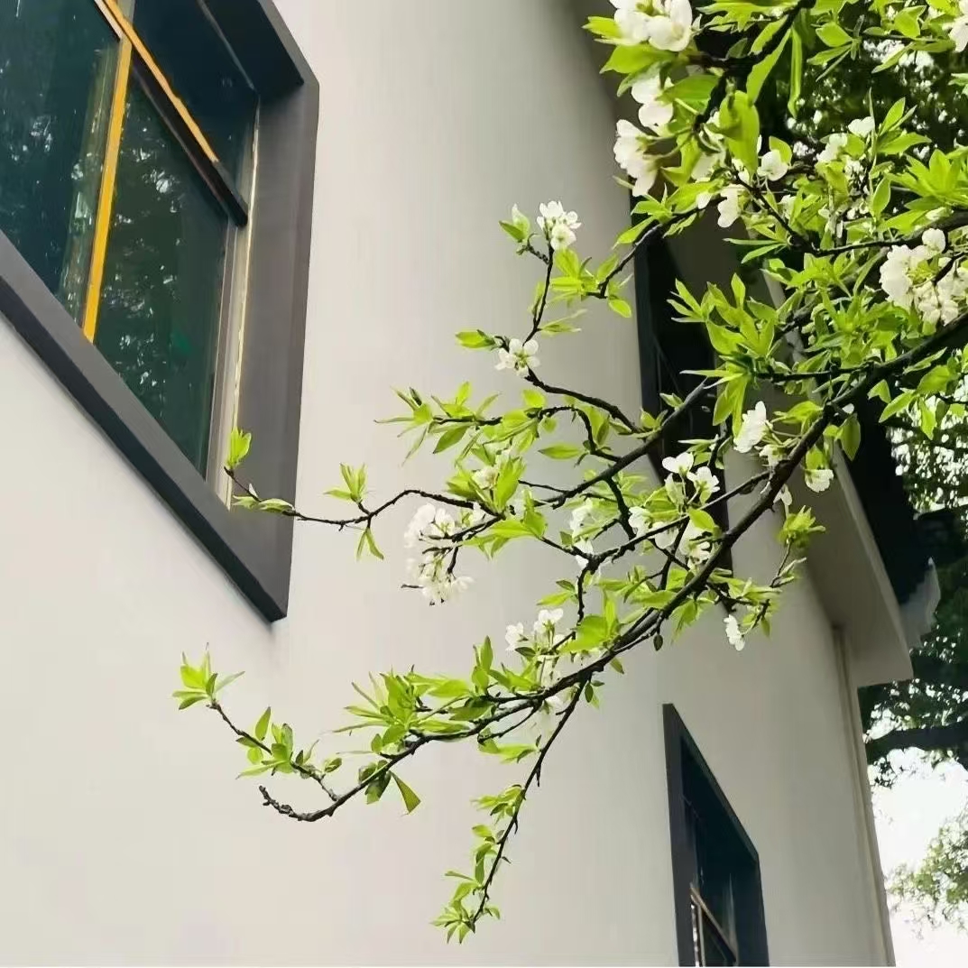  心灯