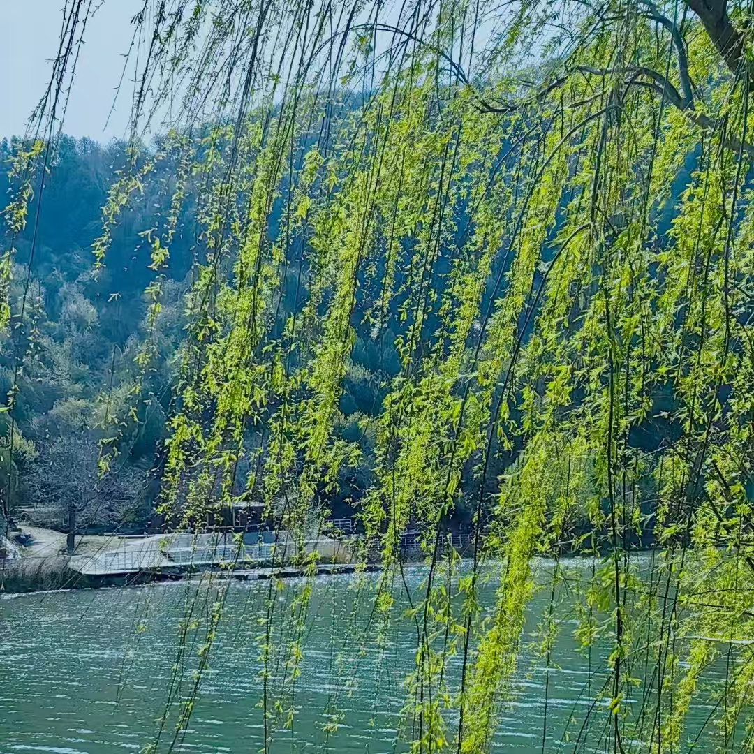  涌动春天，鑫鑫相传 --涌鑫煤矿采风记