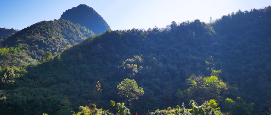  尽善尽美故乡情 --读孙文胜散文集《梦是故乡真》有感