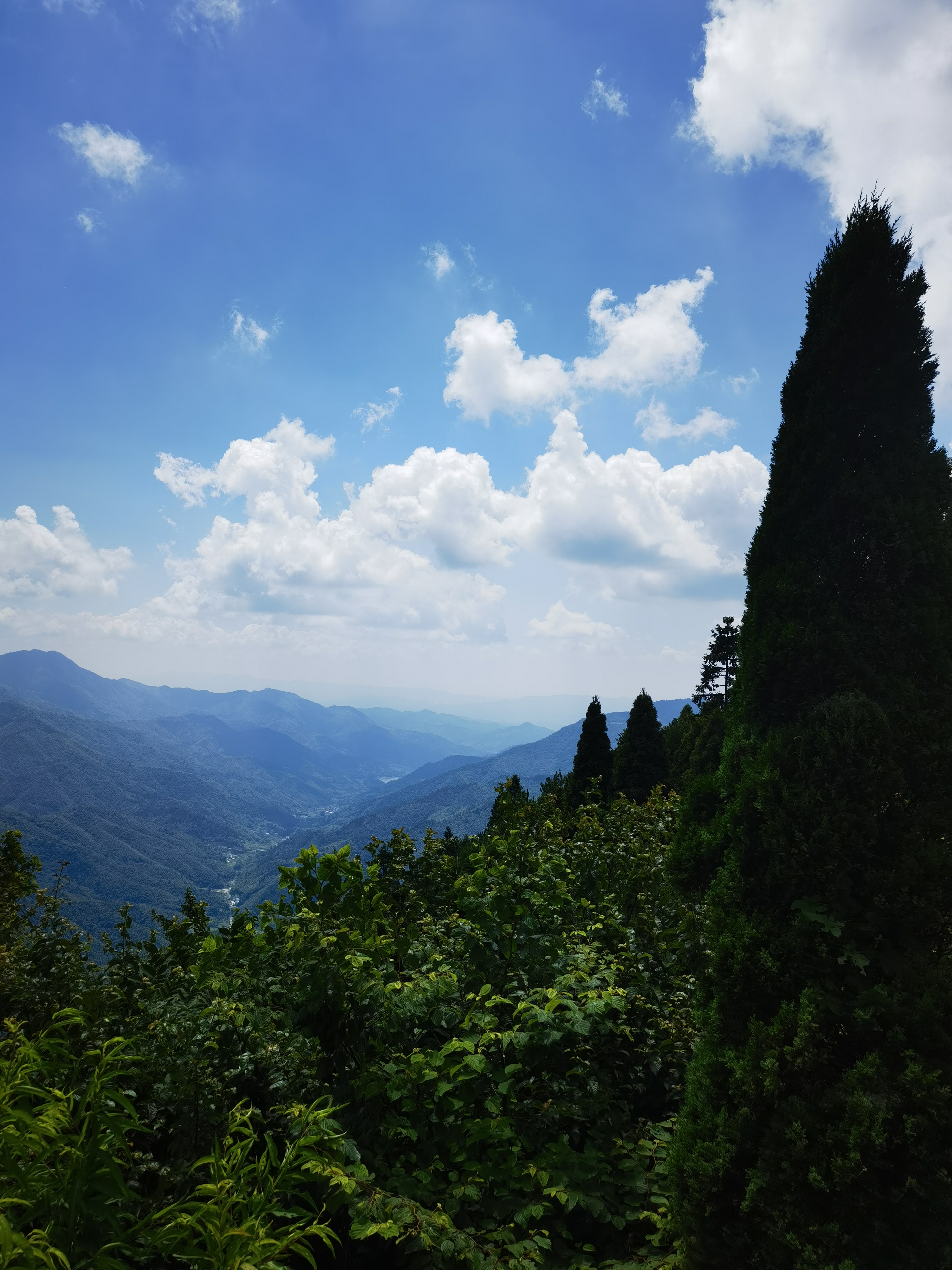 IMG_20210726_135859.jpg