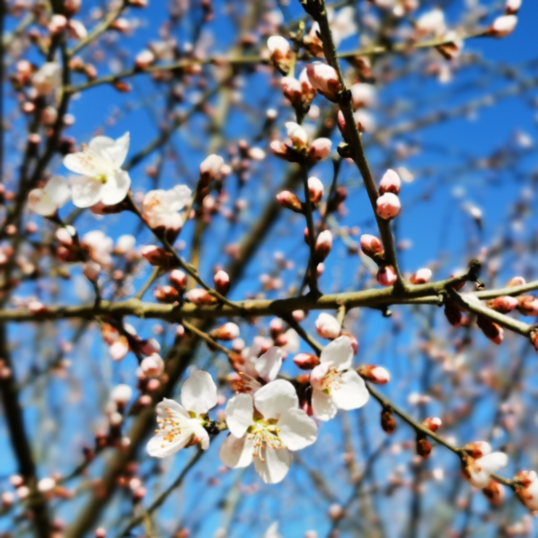 IMG_20200321_143401_副本.png