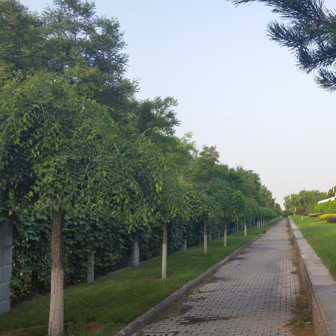 20150713_063929_副本.png