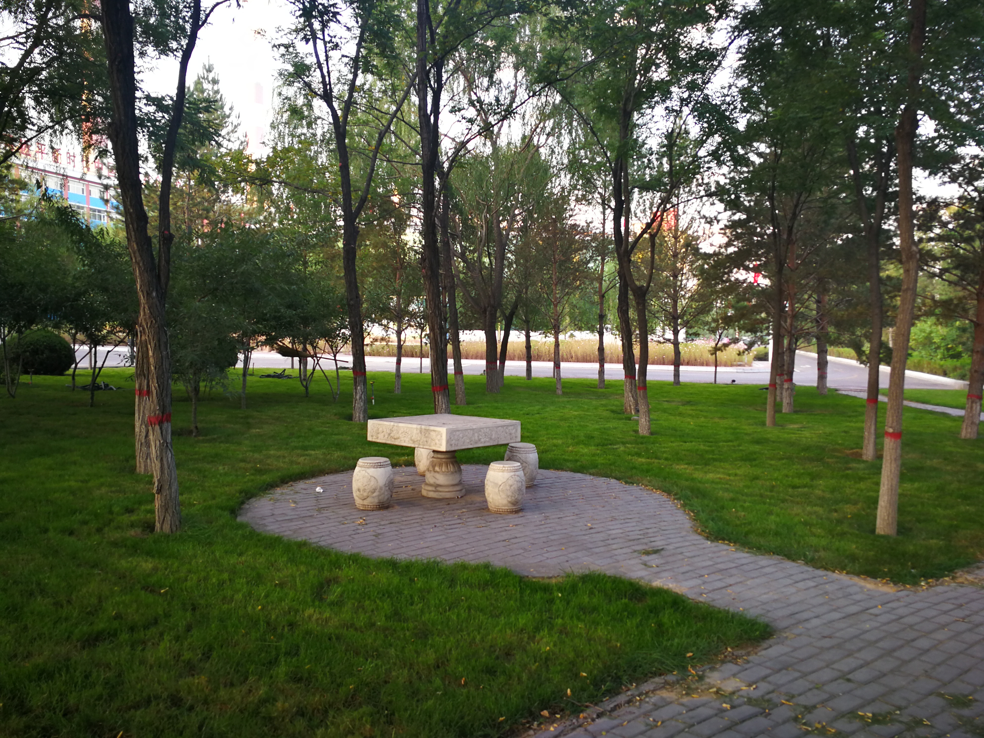 IMG_20190924_070716.jpg