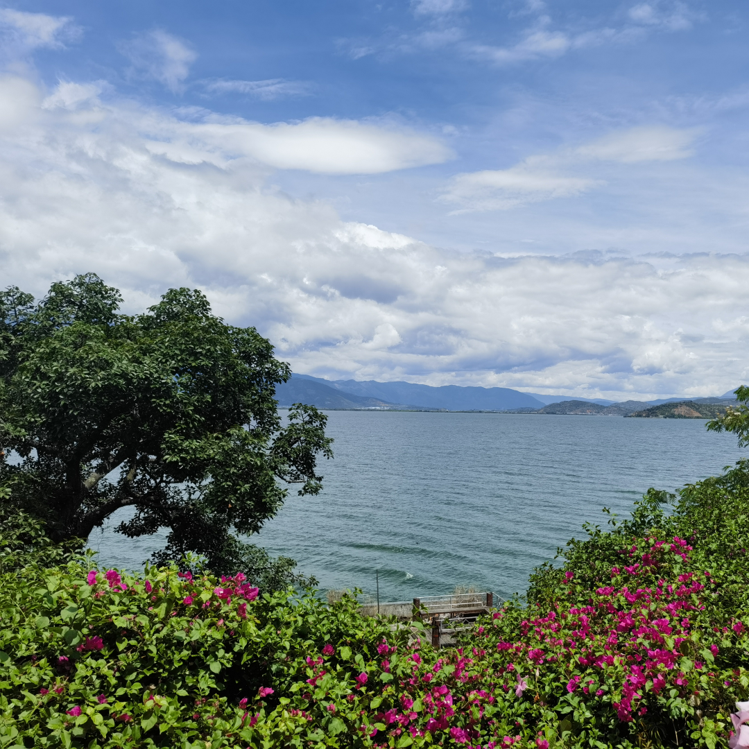 IMG_20240614_114737 - 副本_副本.png