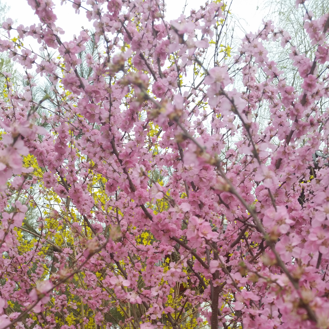 20150416_180459_副本.png