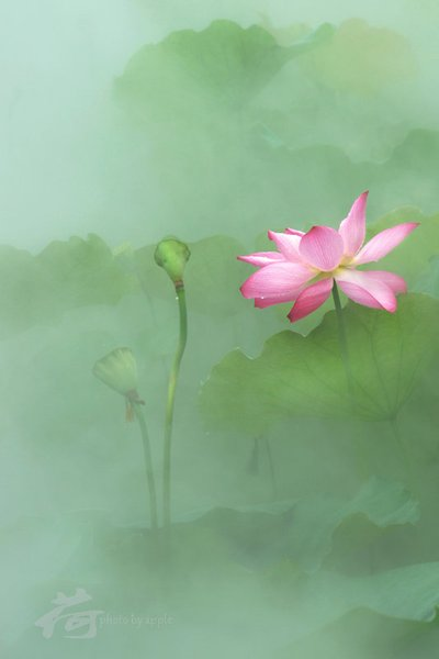 t01f5a6cc47e6ac8ab9_副本.png
