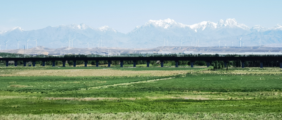 IMG_20230625_113904_副本.png