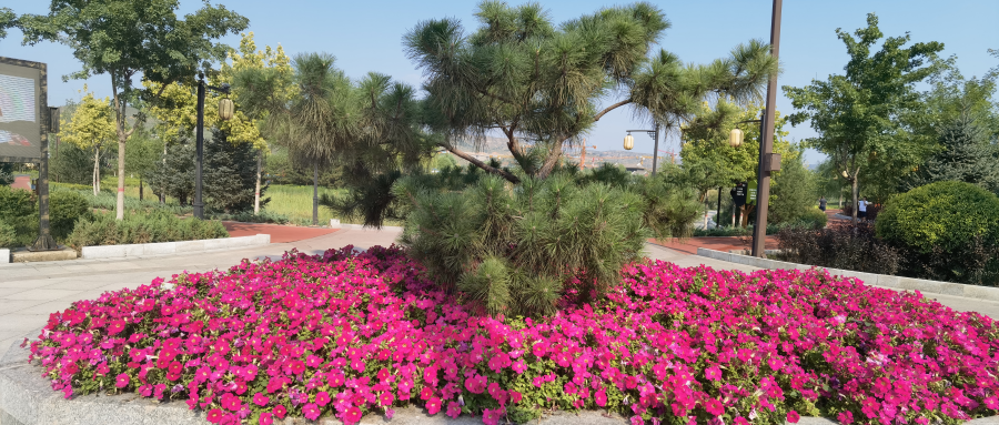 IMG_20230803_090855_副本.png