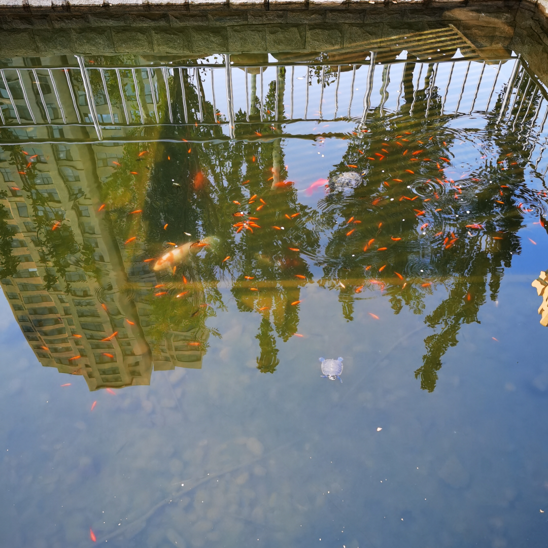 IMG_20200919_180041_副本.png