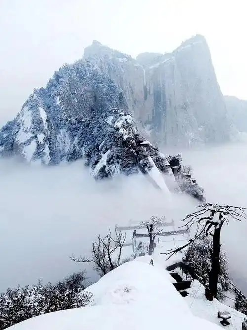 微信图片_20250320170724.png