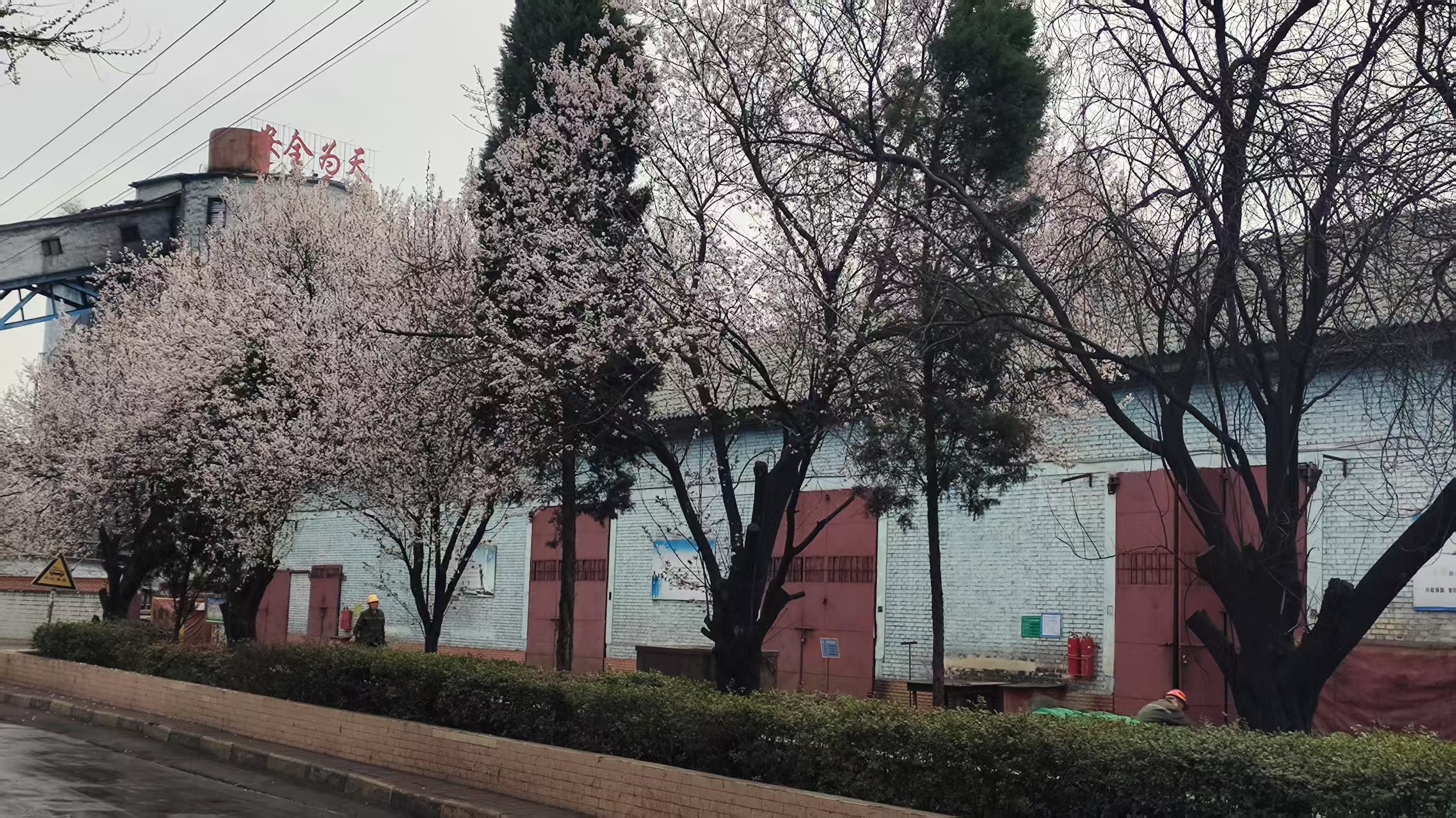 微信图片_20250331140054.jpg
