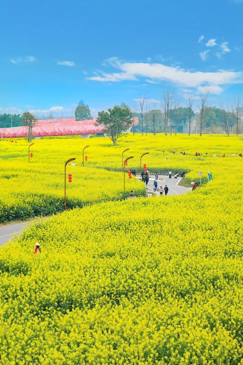 微信图片_20250410165708.png
