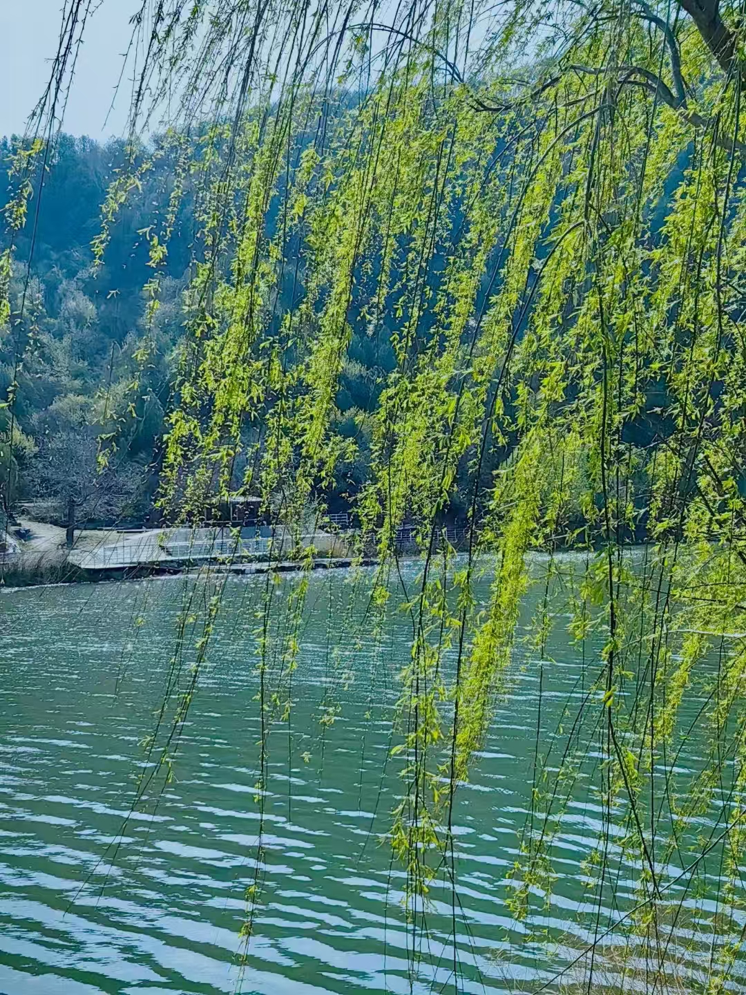微信图片_20250415141710.jpg