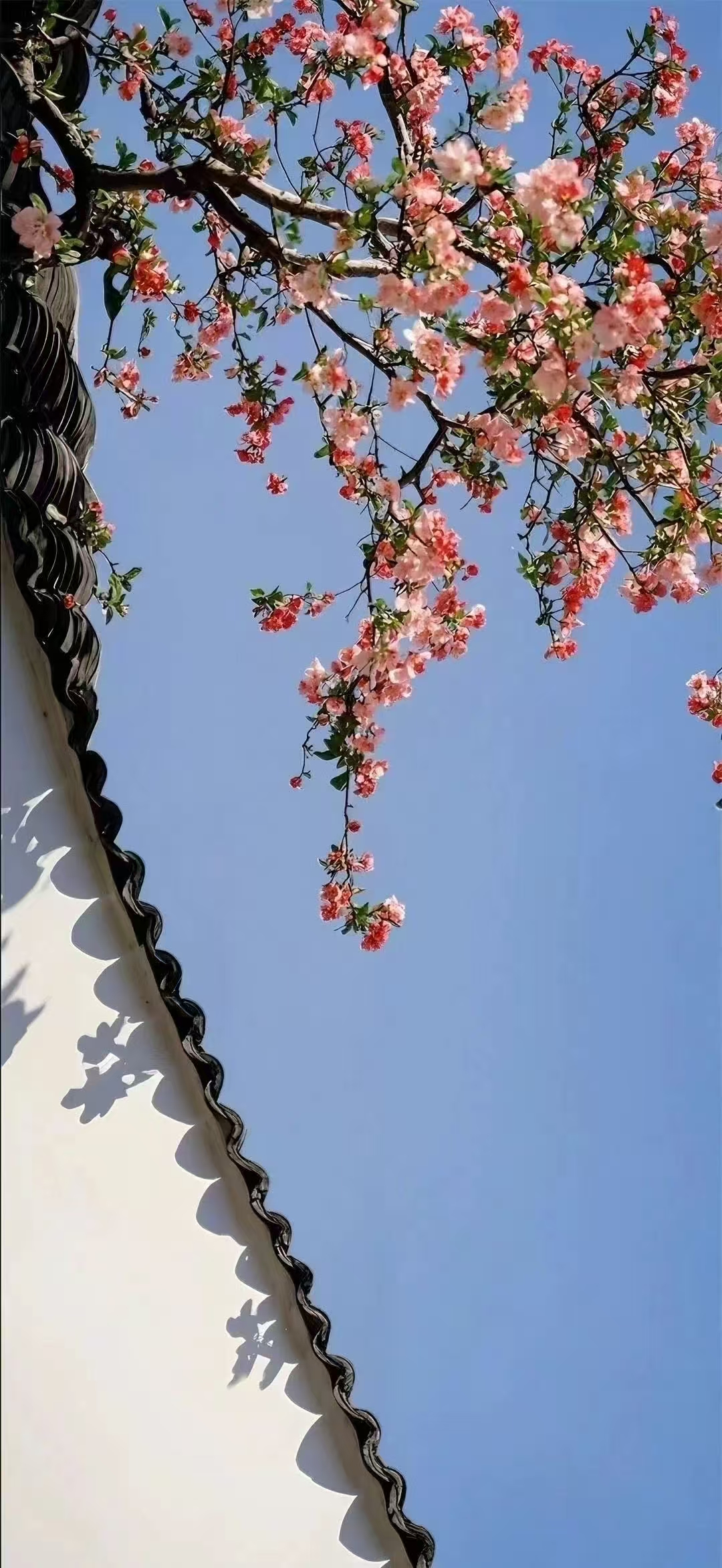 微信图片_20250410150301.jpg