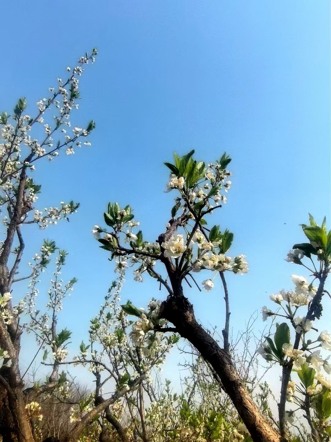 微信图片_20250415162803.jpg